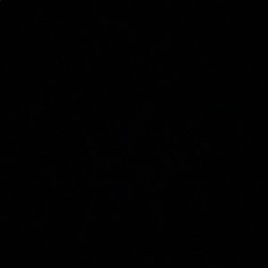 Meet your Posher, Jones